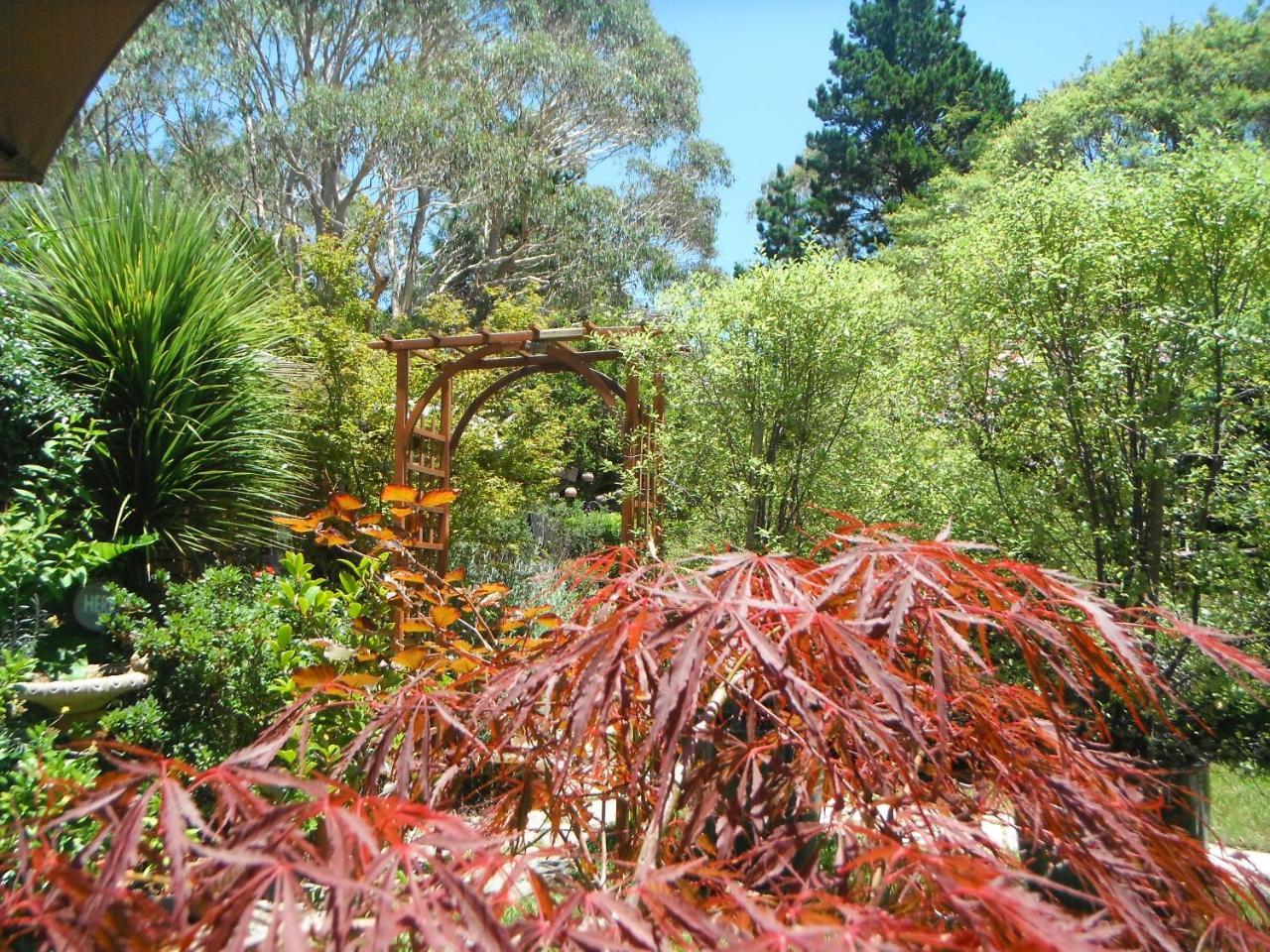 Crimson Villa Katoomba Kültér fotó
